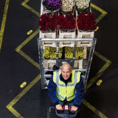 Combi Card Aalsmeer - Visit FloraHolland - Historische Tuin and Westeinder Rondvaart